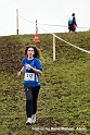 1572 lva_cross